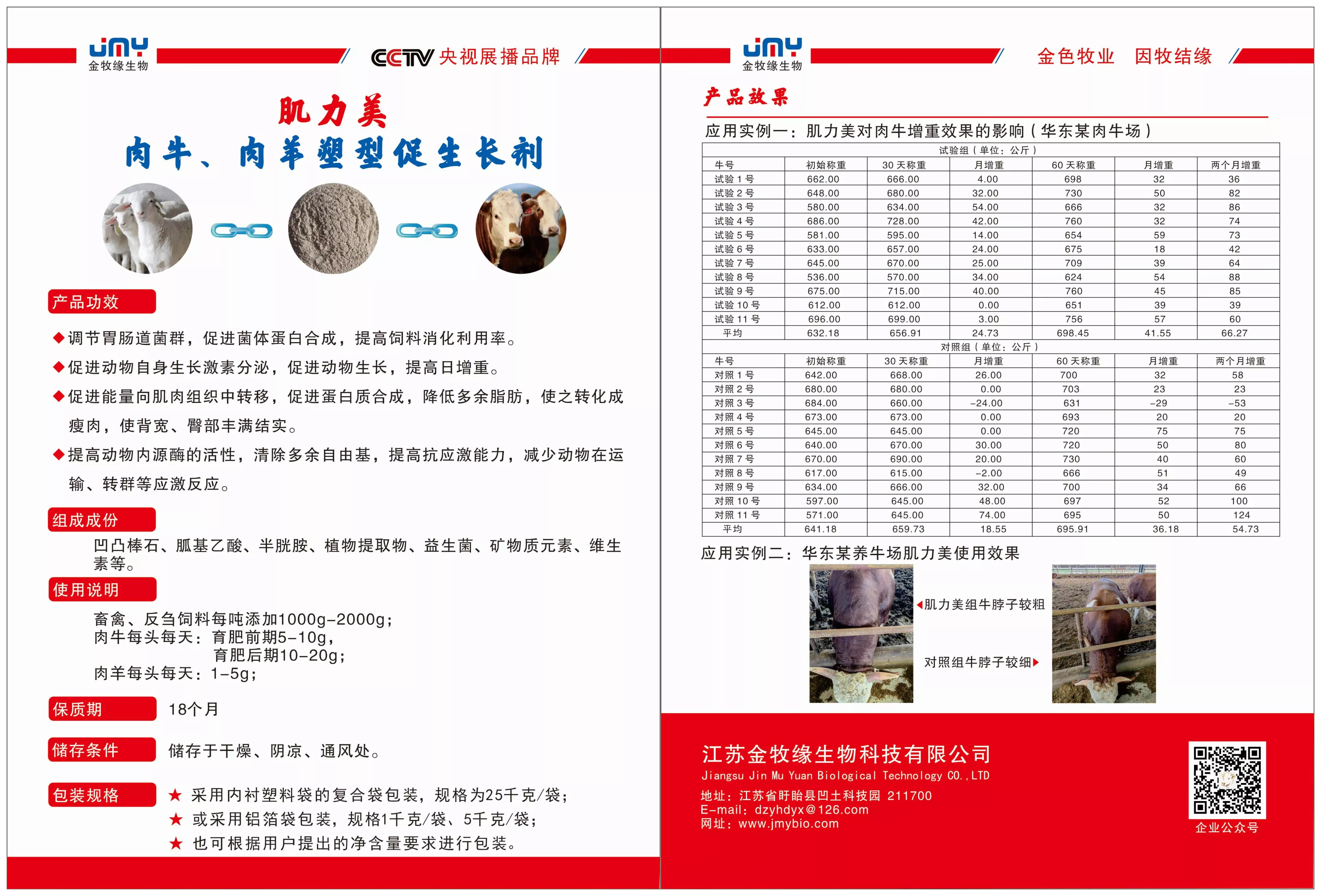 肌力美